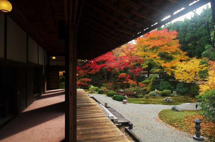 静寂の庭（東山・泉涌寺・御座所庭園）_f0155048_215209.jpg