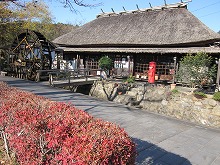 d0048350_20151155.jpg