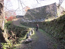 d0048350_20163123.jpg