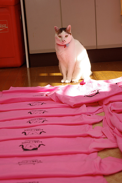 Tシャツ増産中!_a0028451_2242568.jpg