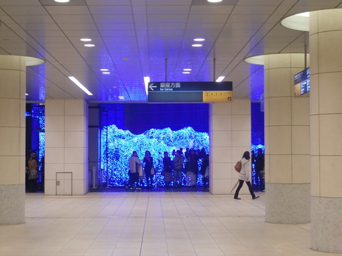 c0206352_20495564.jpg