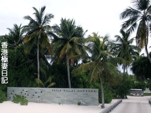 f0190653_114141100.gif