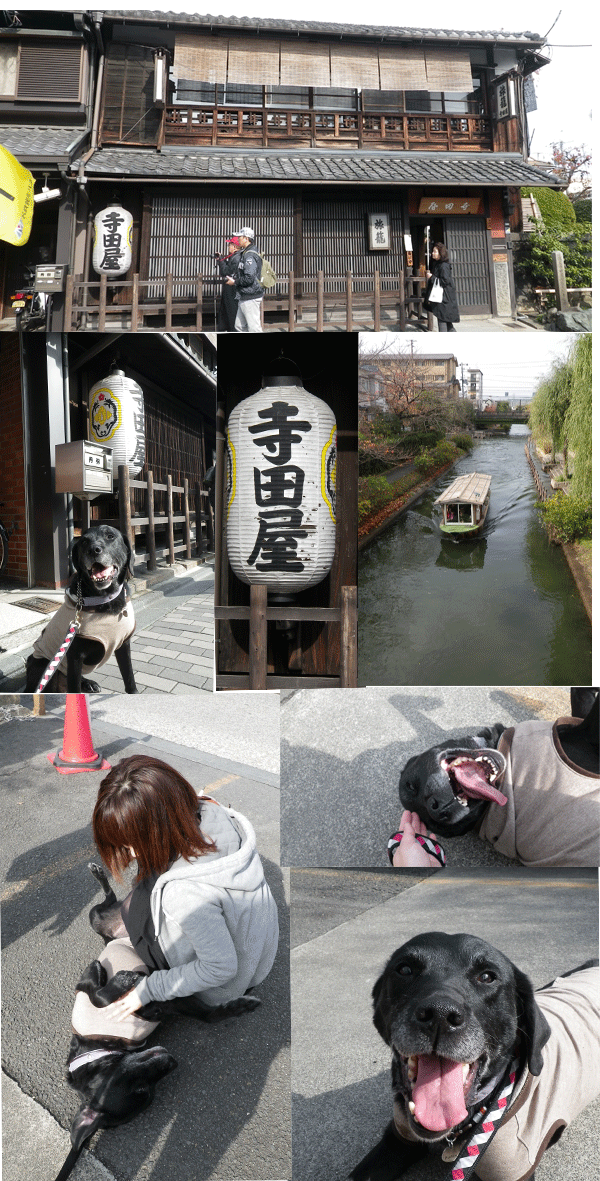 e0149256_21492931.gif