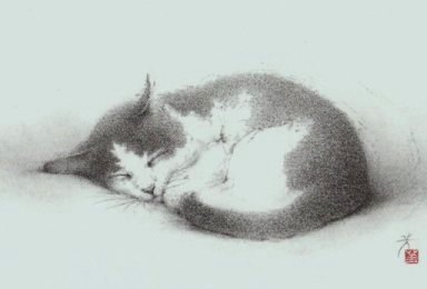 2011年 游デッサン室 カレンダー 『猫』_f0159856_92534.jpg