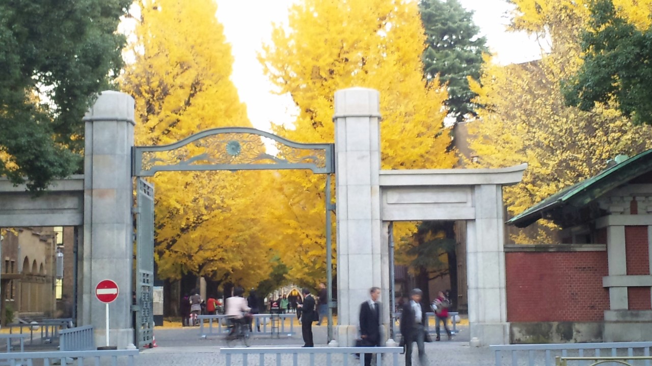 c0119259_215487.jpg