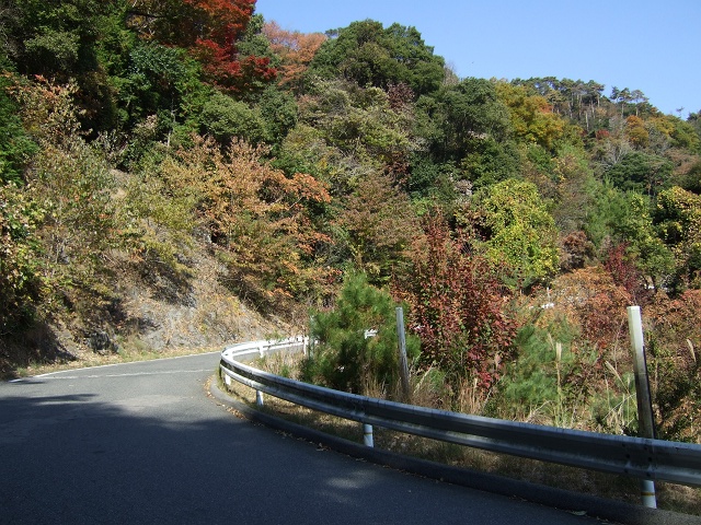 新しい峠・林道立石藤ヶ丸線を走破　その2_b0095061_1496.jpg