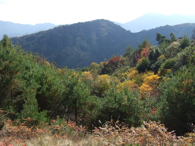 新しい峠・林道立石藤ヶ丸線を走破　その2_b0095061_15610.jpg