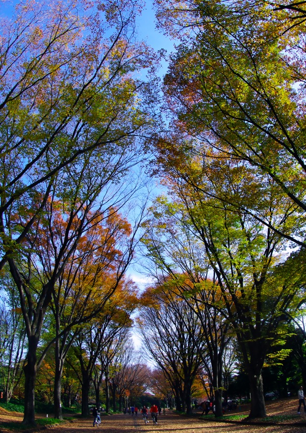 f0179061_1112252.jpg