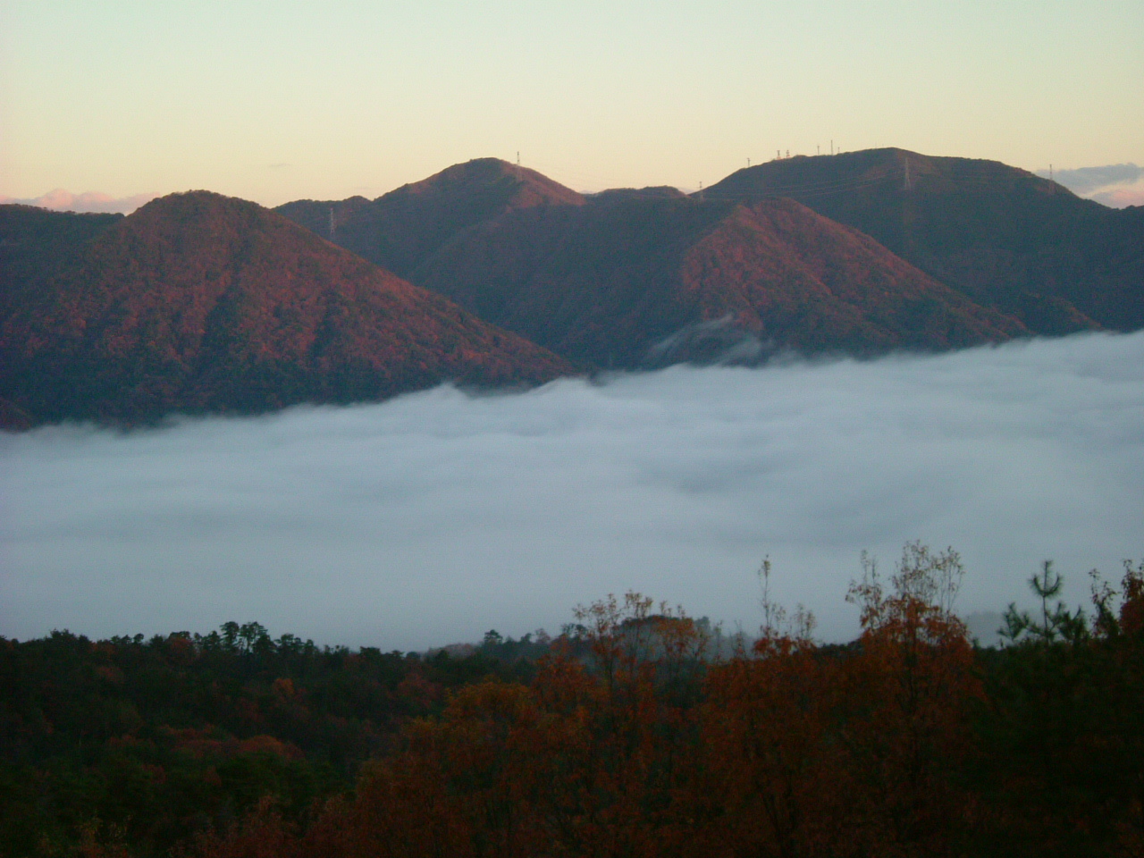 b0204562_1137590.jpg