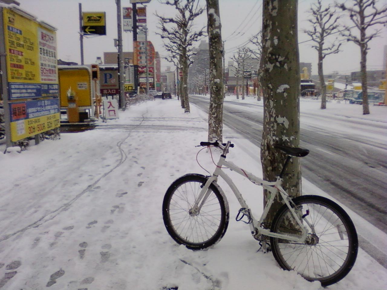 雪です _d0197762_10461657.jpg