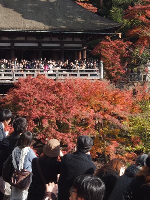 京都の紅葉 （清水寺）_b0112263_222617100.jpg