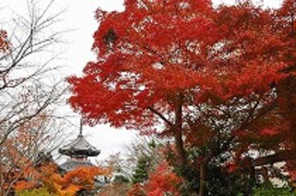 吉野山・金峯山寺　金剛蔵王権現のご開帳_f0215268_1651671.jpg