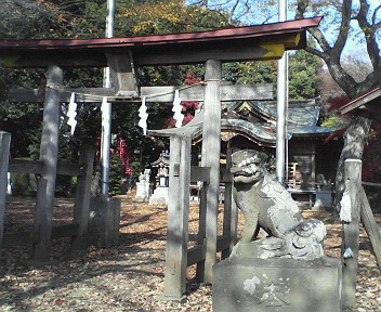 【県境のお散歩】柳瀬川〜滝の城址公園_e0035469_0111888.jpg