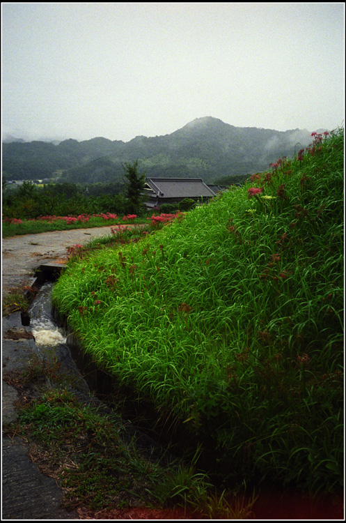 190.32 ホロゴンデイ57「2010年10月9日葛城古道はやまぬ雨に暗く沈み」32  平木収の「写真の心」_c0168172_16292449.jpg