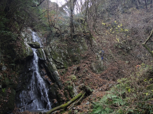 d0182075_3441470.jpg