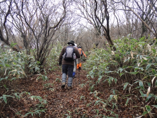 洗谷から井原山（福岡　糸島市）_d0182075_3475181.jpg