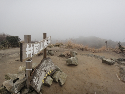 洗谷から井原山（福岡　糸島市）_d0182075_3502087.jpg