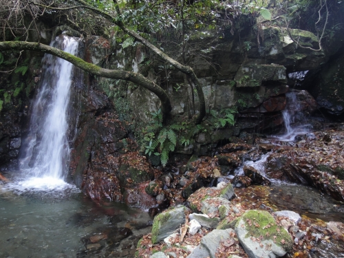 洗谷から井原山（福岡　糸島市）_d0182075_402576.jpg