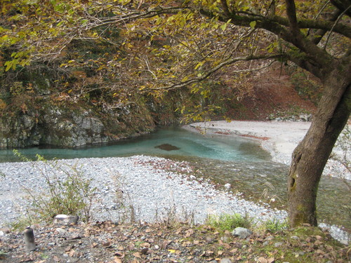 a0094278_0171148.jpg