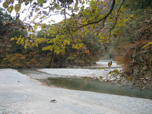 a0094278_024560.jpg