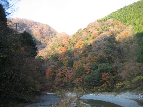 a0094278_0261992.jpg