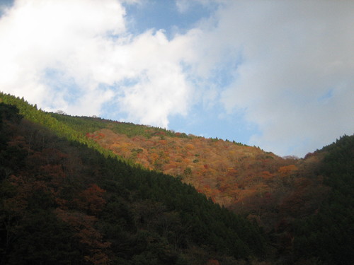 a0094278_09755.jpg