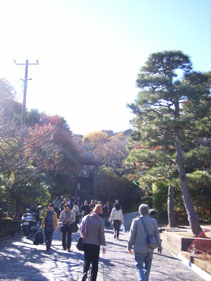 d0124878_15595191.jpg