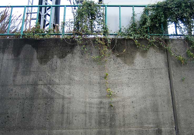 b0057679_829294.jpg