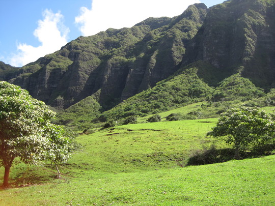 d0039479_0112871.jpg