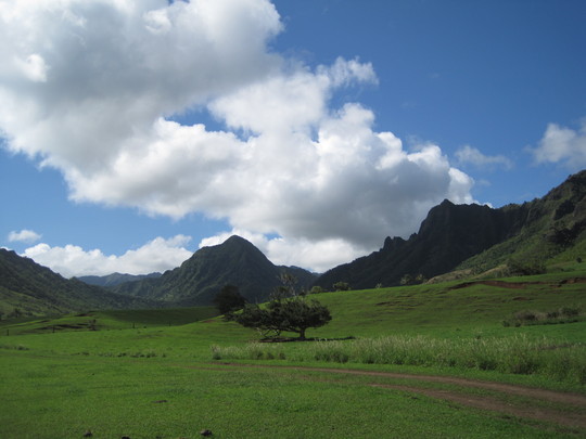 d0039479_012318.jpg