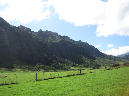 d0039479_0151775.jpg