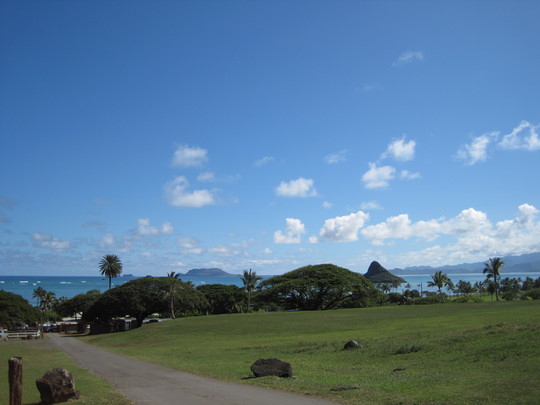 d0039479_0313123.jpg