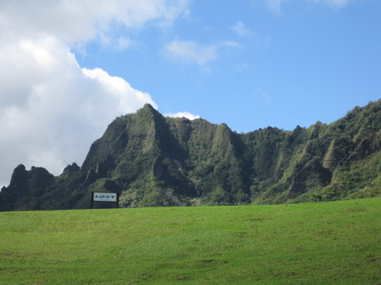 d0039479_08169.jpg