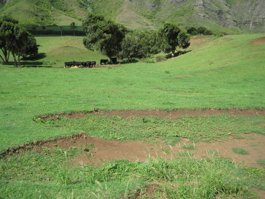 d0039479_0912100.jpg