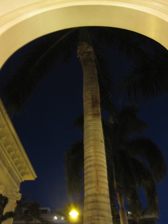 d0039479_1141618.jpg