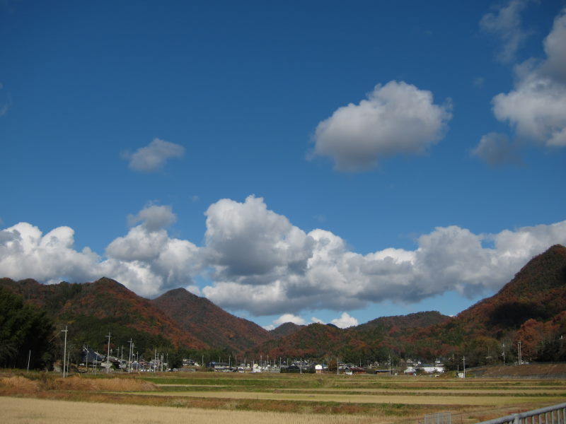 紅葉に染まる山々のパノラマを眺めてー猪名川・能勢サイクリング_e0138081_15183634.jpg