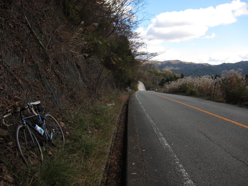 紅葉に染まる山々のパノラマを眺めてー猪名川・能勢サイクリング_e0138081_15241652.jpg