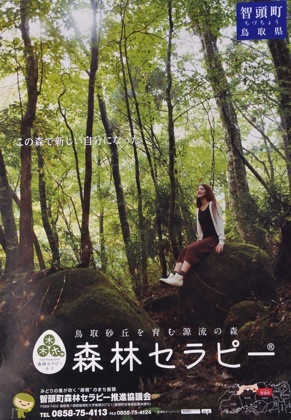 鳥取県智頭町の森林セラピーのイメージポスター...._b0194185_23375628.jpg