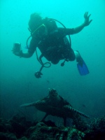 透明度バツグン!! ピピ島_f0144385_1304335.jpg