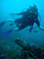 透明度バツグン!! ピピ島_f0144385_134871.jpg