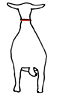 a0123986_21415931.gif