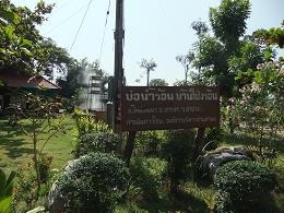 タイ北部旅行１１月２２日（月）KoKha温泉と、象保護センター_a0130586_1652297.jpg