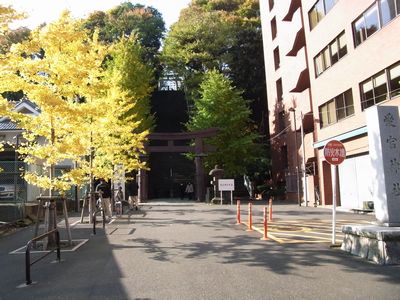 c0039291_2382974.jpg