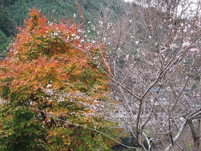 c0078592_21253884.gif