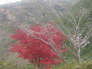 c0078592_21284433.gif