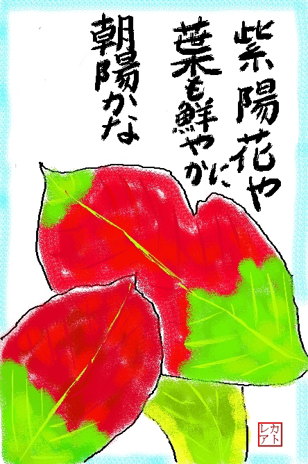 「絵手紙俳句」「紫陽花・紅葉」～”紫陽花や葉も鮮やかに朝陽かな”～♪_f0124098_1152426.jpg