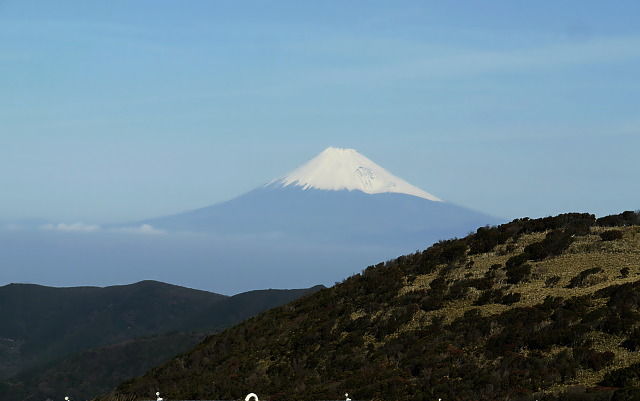 伊豆の海_b0066502_17382297.jpg