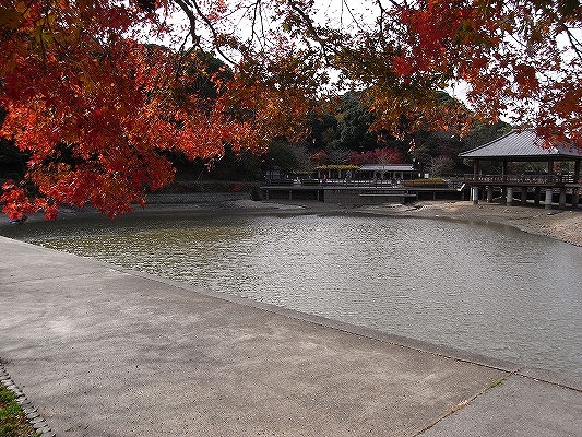f0187402_20121358.jpg