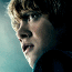 f0139405_2017347.gif