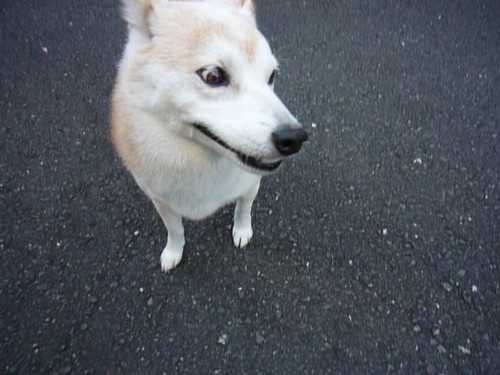 e0131506_2371715.jpg